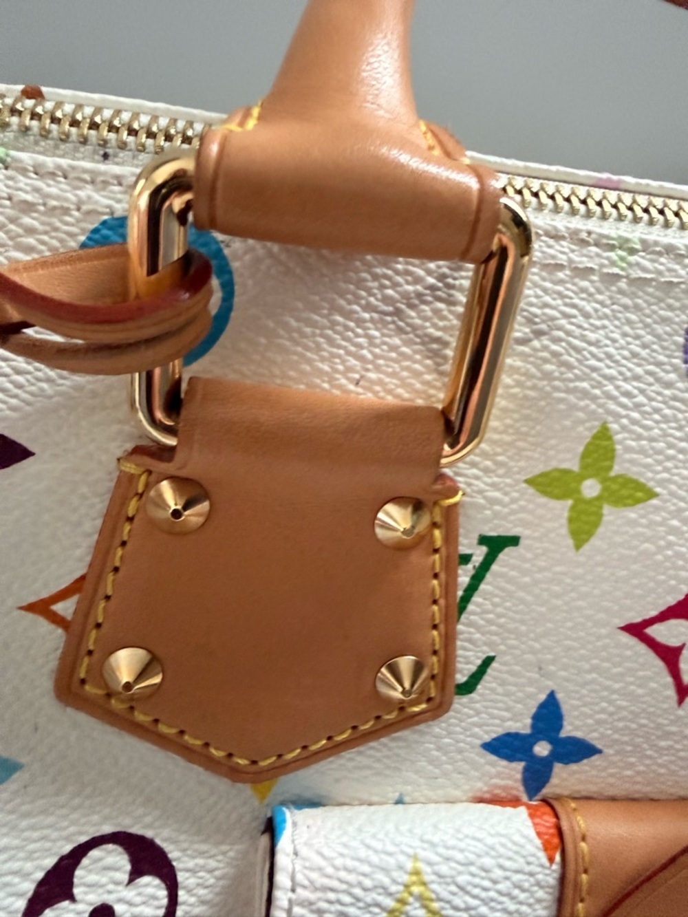 AUTH Limited Edition Louis Vuitton Multicolor Murakami Speedy - Picture 10 of 16